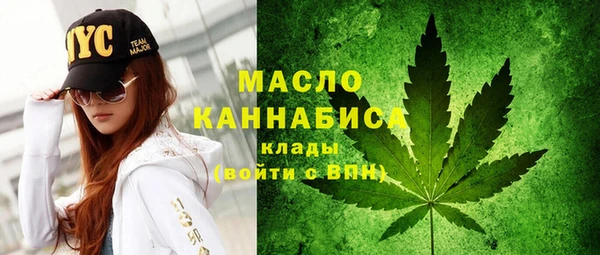 сатива Новокубанск