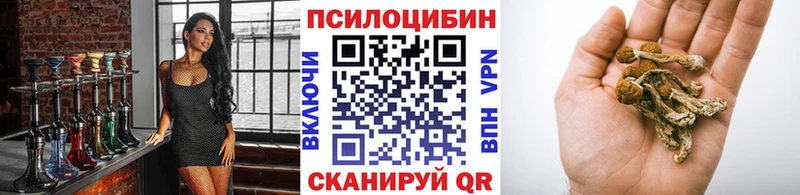 купить  сайты  Брянск  Галлюциногенные грибы Cubensis 